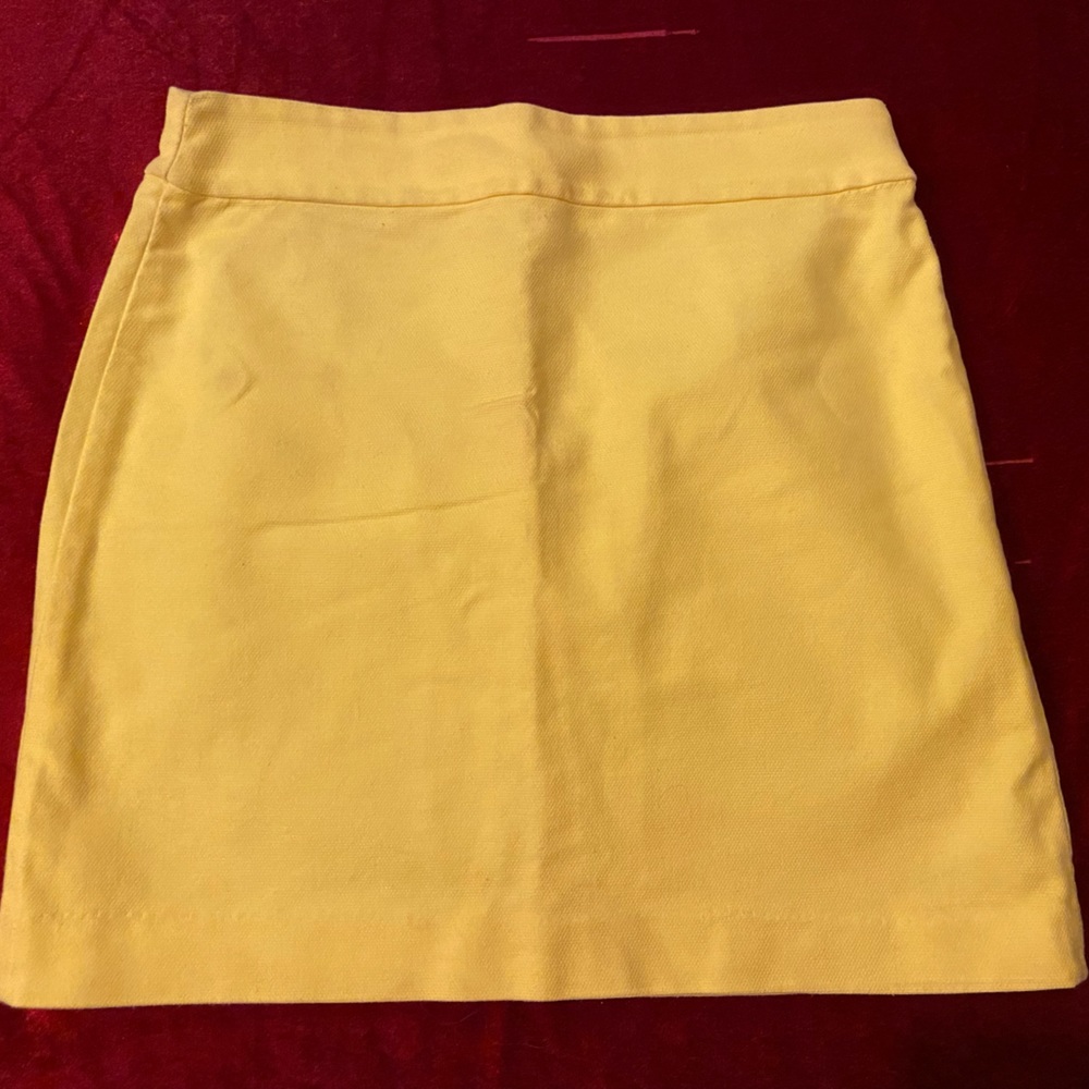 LOFT Skirt